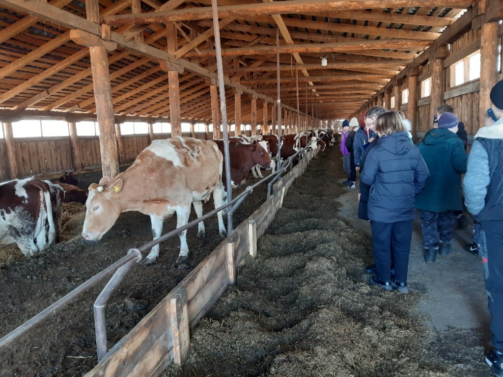 Оценка состояния молочного производства сельскохозяйственных предприятий 2022. 9