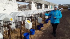 Оценка состояния молочного производства сельскохозяйственных предприятий 2022.