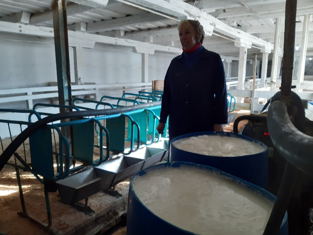 Оценка состояния молочного производства сельскохозяйственных предприятий 2022. 23
