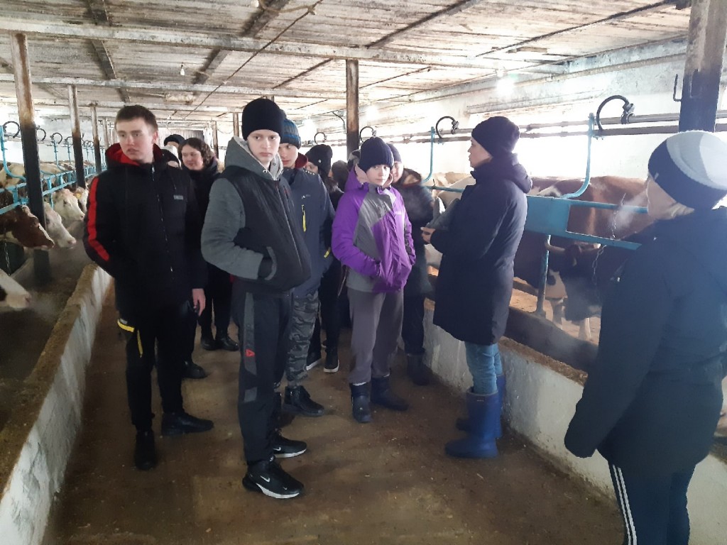 Оценка состояния молочного производства сельскохозяйственных предприятий 2022. 18