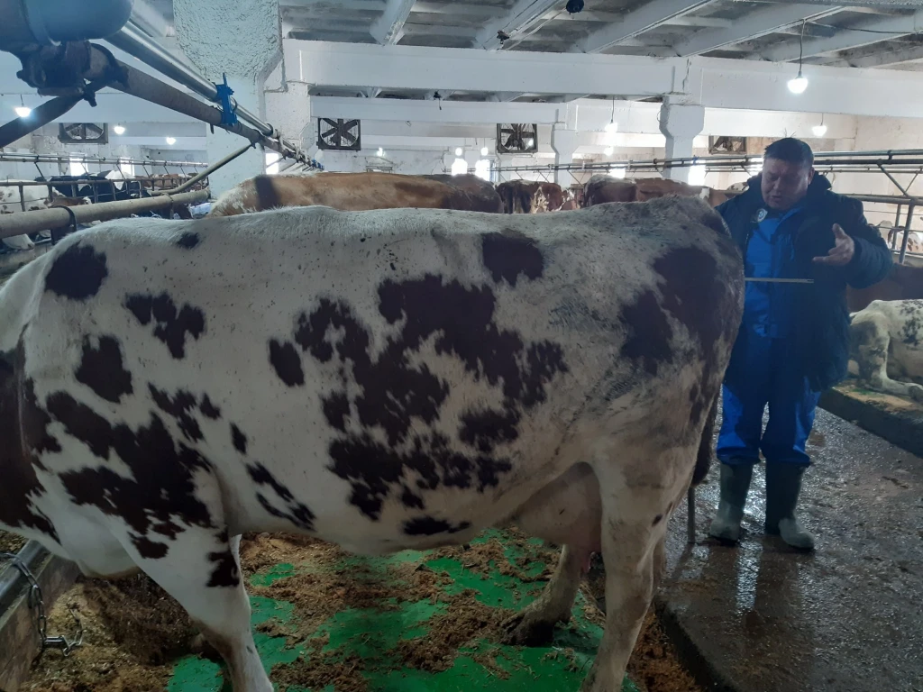 Оценка состояния молочного животноводства на предприятиях 2023 3