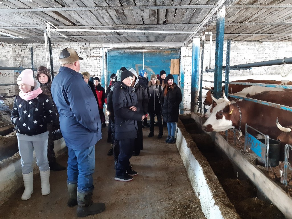 Оценка состояния молочного производства сельскохозяйственных предприятий 2022. 17