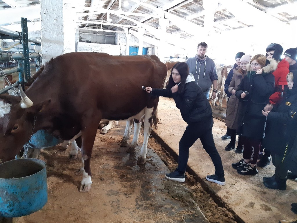 Оценка состояния молочного производства сельскохозяйственных предприятий 2022. 21
